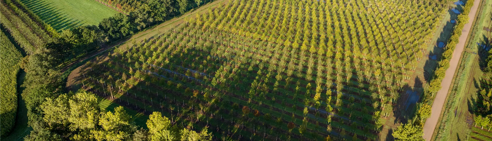Header alle Seiten.jpg Header alle Seiten.jpg